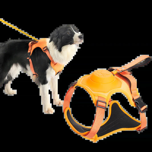 No Pull & No Choke Dog Harness with Retractable Leash