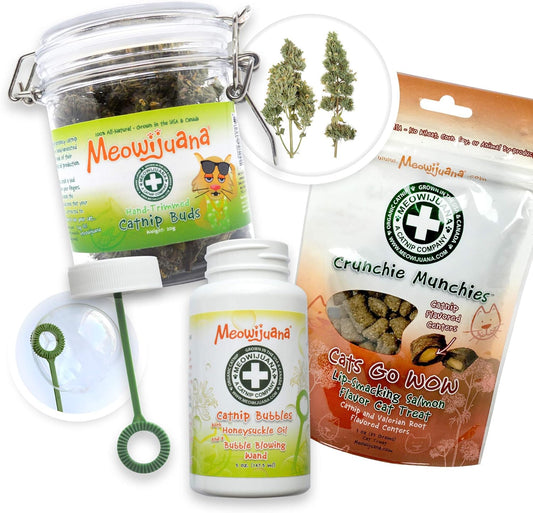 | Catatonic Bundle | Salmon Crunchie Munchies, Jar of Catnip Buds, and Catnip Bubbles | Organic | Grown in the USA | Promotes Play and Cat Health | Feline and Cat Lover Approved